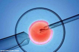 关于清砚堂中医馆